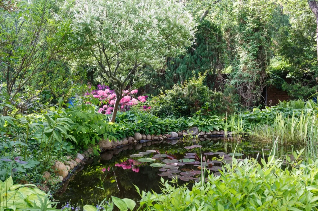 Decorative trees. shrubs and flowers in the garden with pond