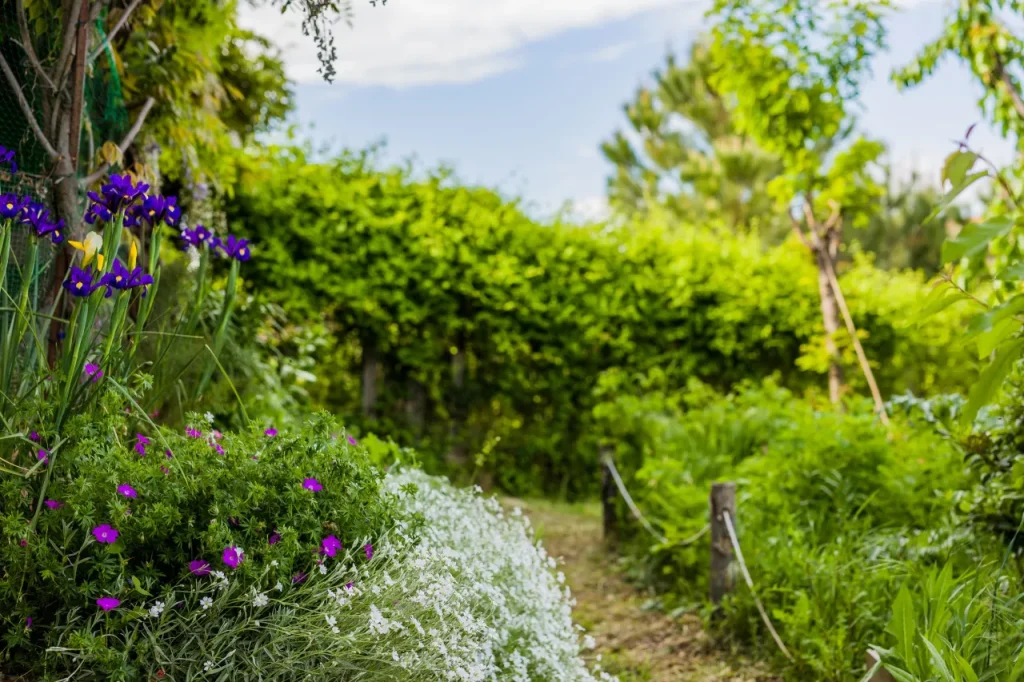 Urban garden background. Spring, summer natural ecology environment sustainability horticulture